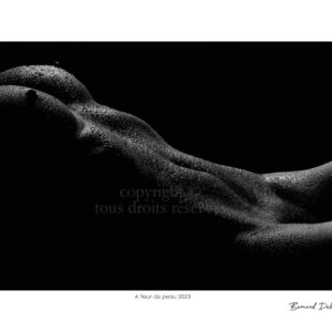 Nu Artistique A fleur de peau