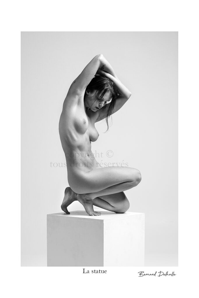 Nu Artistique La statue