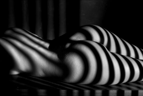 Le zèbre Nude Art Nus Artistiques