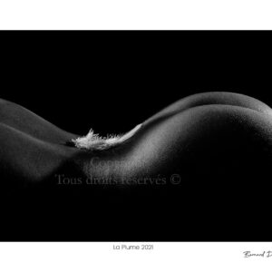 Nus Artistiques La Plume