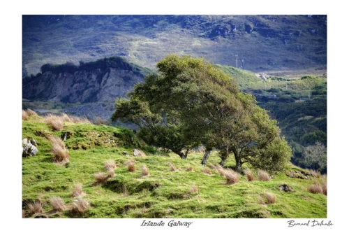 Irlande