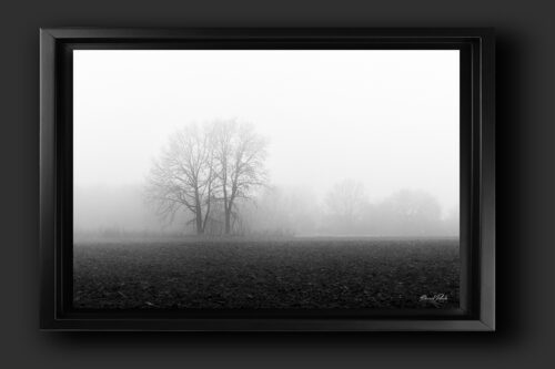 Hivers à Sainghin-en-Mélantois