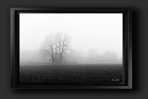 Hivers à Sainghin-en-Mélantois