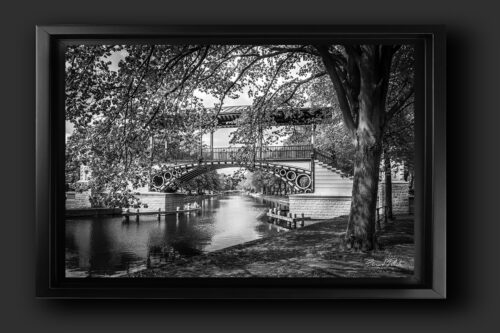 Pont Napoleon