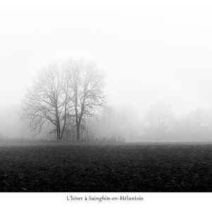 Hivers à Sainghin-en-Mélantois