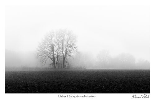 Hivers à Sainghin-en-Mélantois