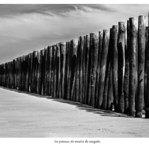 les poteaux de moules de sangatte