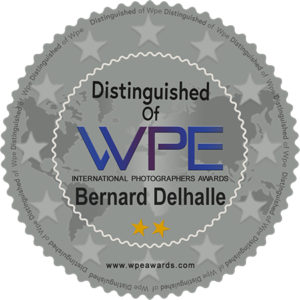 Bernard Delhalle