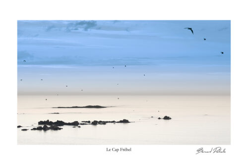 Cap Fréhel