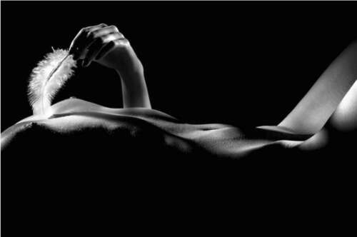 Voyage d'une plume