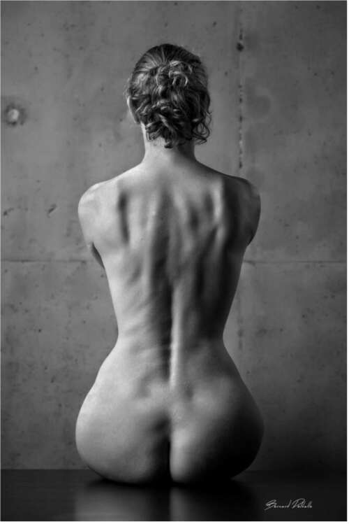 Le violoncelle