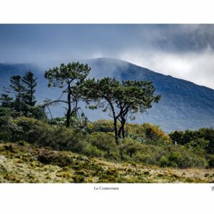 Connemara