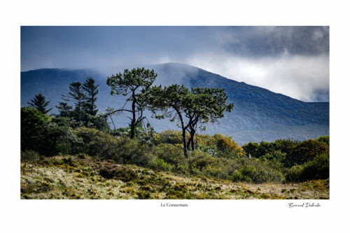 Connemara
