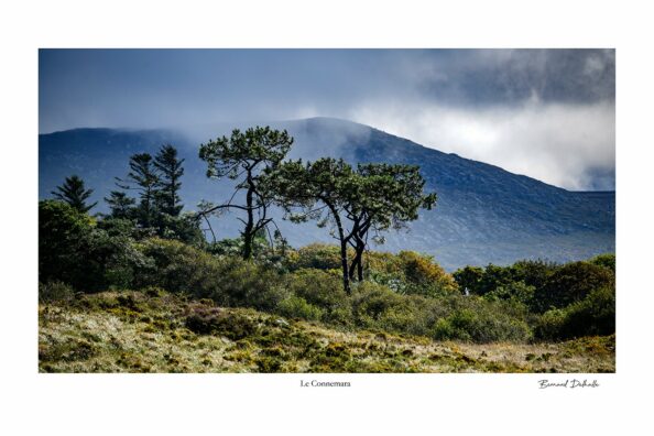 Connemara