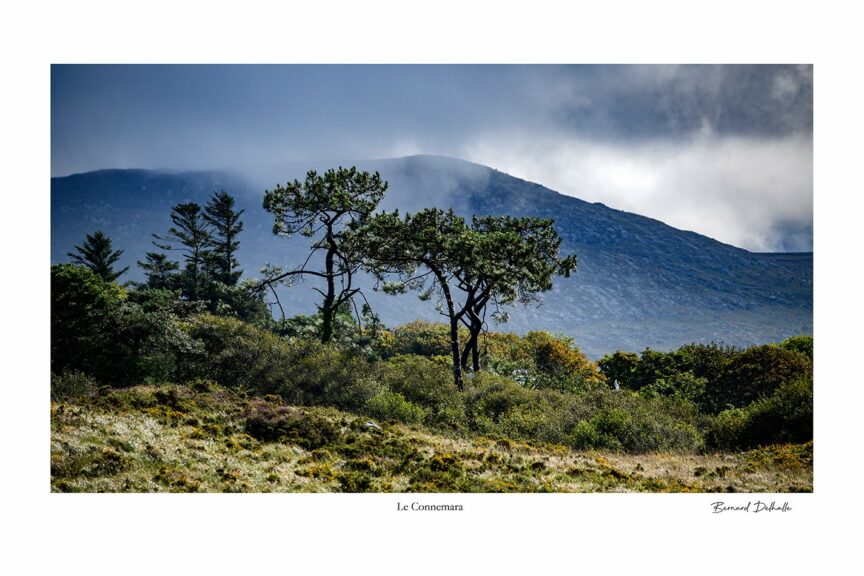 Connemara