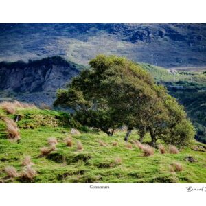 Connemara
