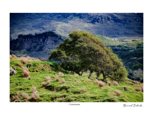 Connemara