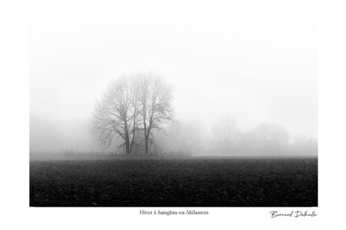 Hiver à Sainghin-en-Mélantois